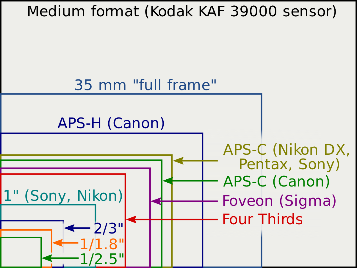 diferencias entre sensores de cámaras fotográficas