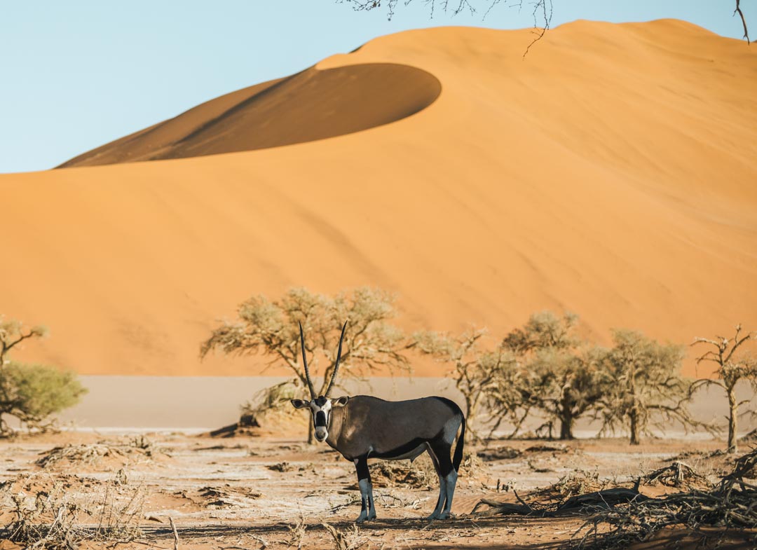 Viajar a Namibia