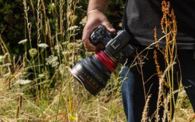 Canon lanza objetivos Cinema Prime con montura RF