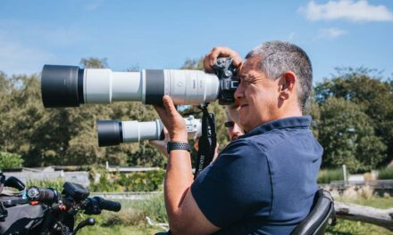 Canon lanza el teleobjetivo de mayor alcance: Canon RF 200-800mm f/6.3-9