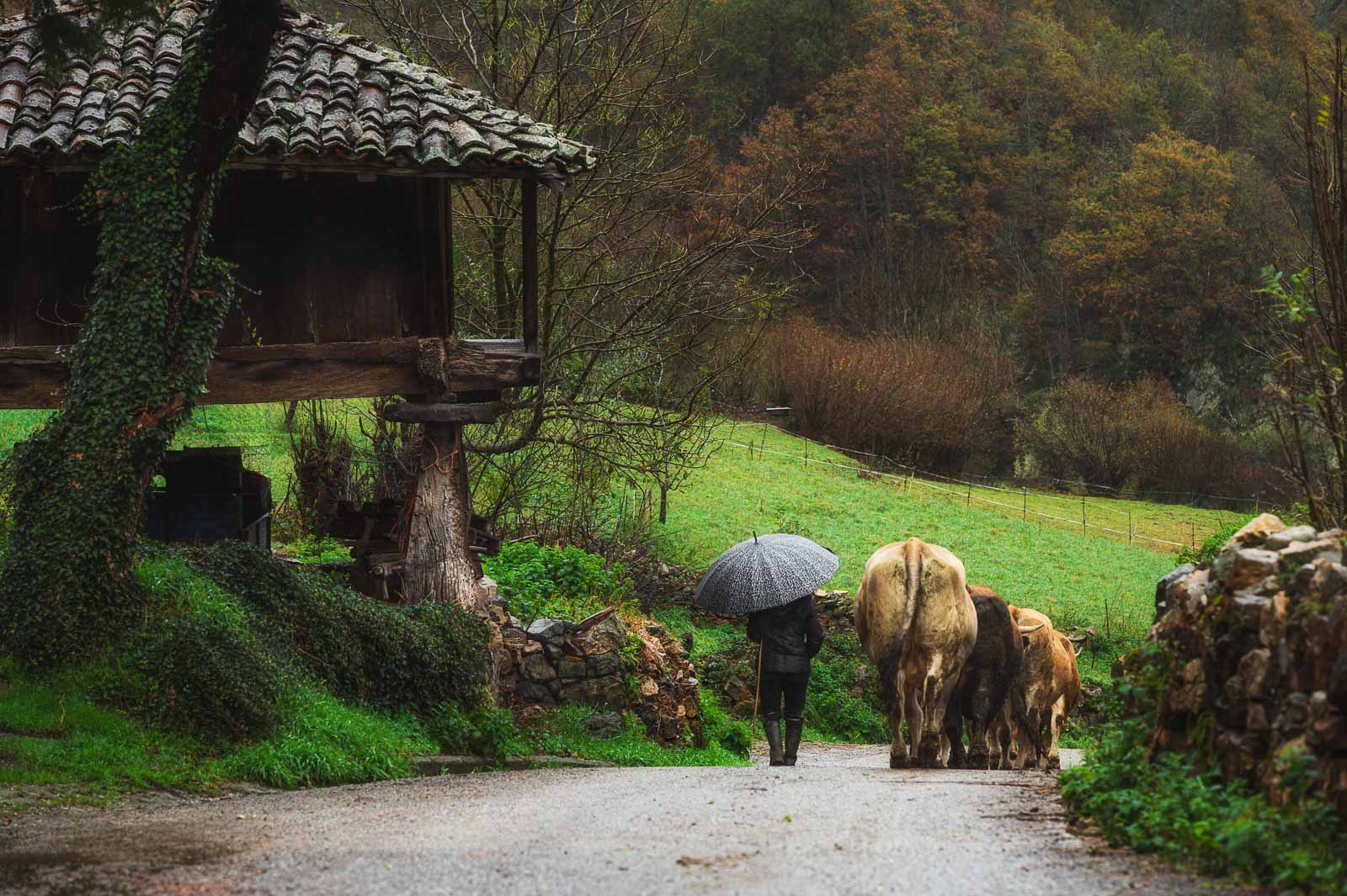 pueblos ejemplares de Asturias