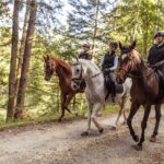 Estas son las razones por la que debes viajar a la Sierra Norte de Madrid en 2026