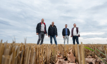 Tesalónica: come, bebe, ama