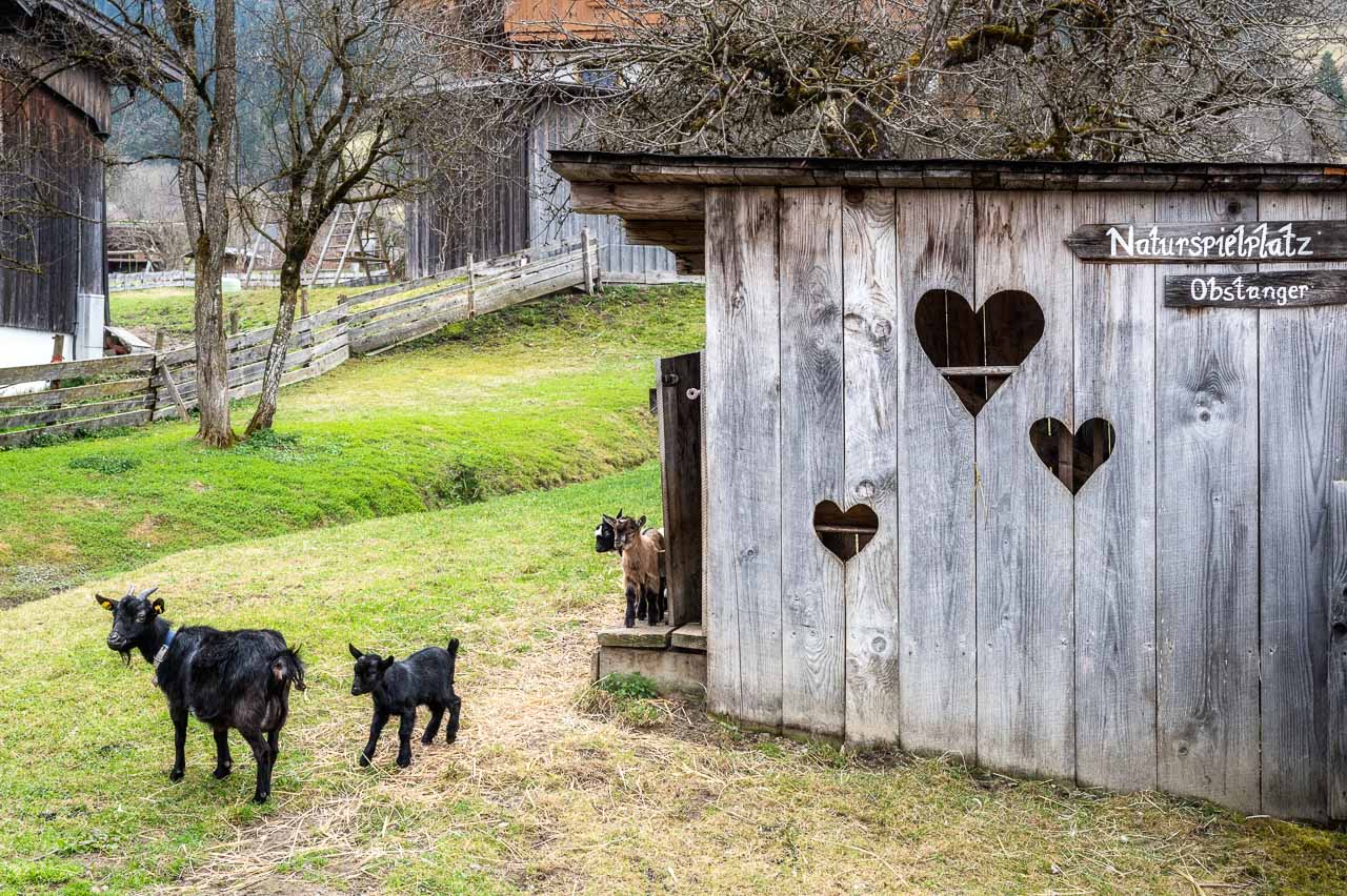 Vacaciones granja Tirol