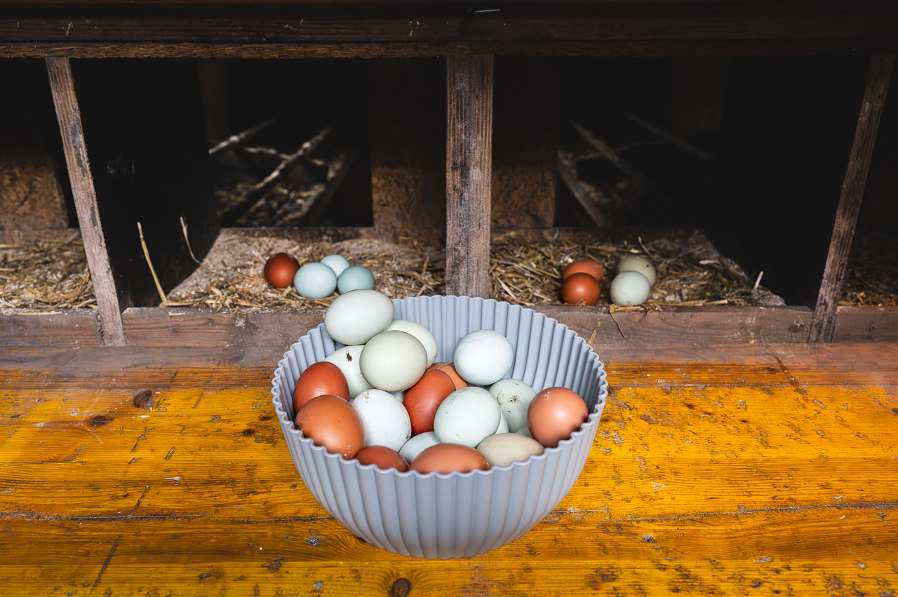 Vacaciones granja Tirol