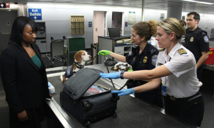 ¿Qué llevar a mano en el avión?